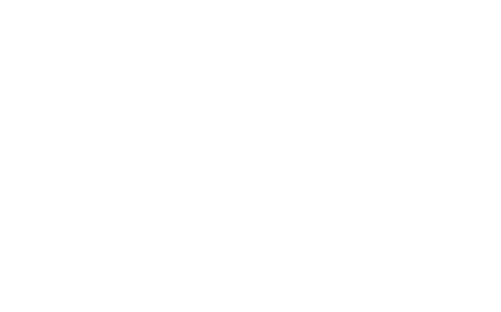 Usługi Geodezyjne 